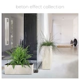 thumbnail of Prosperplast - URBI CASE BETON EFFECT W Blumentopf - 39,5 x 18,5 x 19,5 cm in Cremefarbe