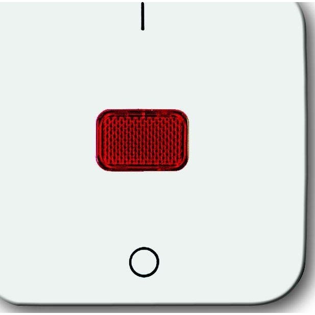 Busch-Jaeger Wippe aws 2508-214 2CKA001731A0918