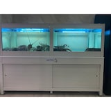 thumbnail of Acquario Poseidon 200D per Crostacei