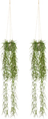 thumbnail of CREATIV green künstliche Pflanze Tillandsia aeranthos, ca 90cm grün, im Hängetopf 9x9cm, 2er Set