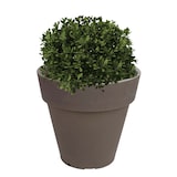 thumbnail of WellHome - Blumentopf aus Rotationsgeformtem Polyethylen 15L Ø35x30cm in der Farbe - Top garden Alex