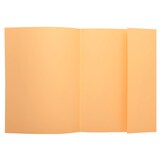 thumbnail of Exacompta - Réf. 348000E - Carton de 500 chemises semi rigides avec 1 rabat SUPER 160 g/m² - dim 24 x 32 cm pour format A4 - 5 couleurs