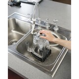 thumbnail of Hamilton Beach Lava Jarras BCR100