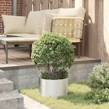 thumbnail of vidaXL Garten 5 pcs Silber 30 x 30 x 20 cm Verzinkter Stahl