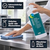 thumbnail of SONETT Flächendesinfektion 1 Liter DVG gelistet