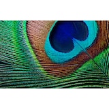 thumbnail of Vidéoprojecteur Epson Tw 7000