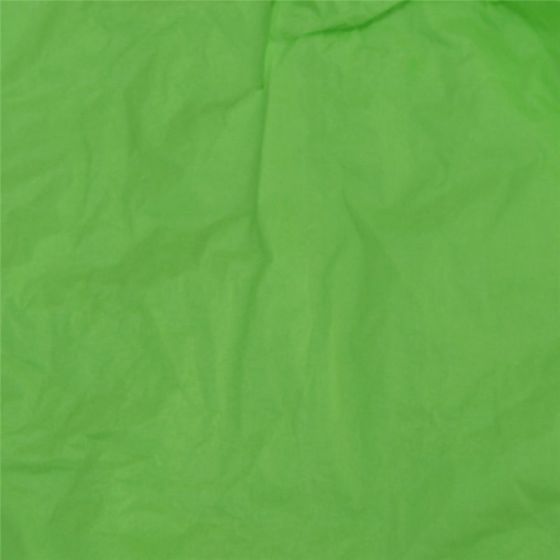 250 Blatt Mintgrünes Seidenpapier 50x75 cm – Für Geschenkverpackungen, Dekoration, Blumen und DIY