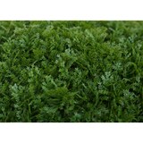 thumbnail of Décoshop26 - Künstliche Thujakugel Ø 52 cm dekorative Pflanze in Zypressenoptik geeignet für den Innen- und Außenbereich 04_0009185