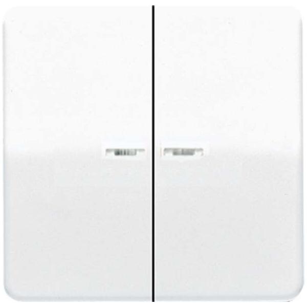 Jung Wippe Lichtleiter sw CD 595 KO5 SW CD595KO5SW