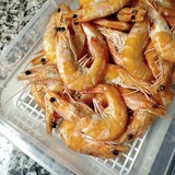 thumbnail of Pack 12 Bandeja para descongelar alimentos 6,5l (Tapa Beige) - Sin BPAs. Hostelería, restaurantes, cocinas…