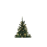 thumbnail of Tarrington House Albero di Natale illuminato, metallo/pvc, Ø 150 x 210 cm, con 300 luci LED, verde