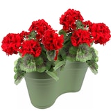 thumbnail of Dubbele Balkon bloembak Hangbak Compleet Relingbloembak - Oudgroen - 37 x 20 x 17 cm - 1 stuks