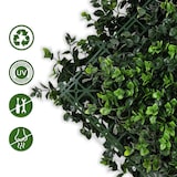 thumbnail of Pflanzenwand "Pachysandra"- Kunstpflanzen zur Wandmontage - erweiterbares Paneel / 50 x 50 cm