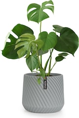 thumbnail of Heusden Blumentopf Polystone pflanzenfreundlich handgemachtMittelgrau