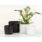 thumbnail of Scheurich Solido Linea, Blumentopf aus Keramik,  Farbe: Perla, 28 cm Durchmesser, 25,3 cm hoch, 12,9 l Vol.