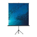 thumbnail of magnetoplan Stativleinwand Professional 6100112 150x150cm weiß