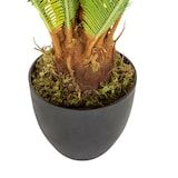 thumbnail of Kunstplant / Kunst palmboom CYCAS kunststof groen - hjh OFFICE