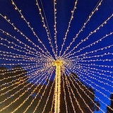 thumbnail of Plafond lumineux en étoile 8 guirlandes de 10m 800 led animée blanc chaud IP44 Smart Connect Lotti