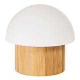 thumbnail of DUNI LED Lampe Konzept Brother