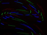 thumbnail of LED-Handschuhe, schwarz/weiß