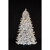 thumbnail of Tarrington House Albero di Natale a LED, acciaio / PVC / PE, Ø 120 x 213 cm, 400 lampadine LED a luce bianca calda