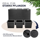 thumbnail of Deuba Poly Rattan Blumentopf Wasserabfluss Innentöpfe Schwarz