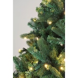 thumbnail of Tarrington House Albero di Natale illuminato, metallo/pvc, Ø 150 x 210 cm, con 300 luci LED, verde