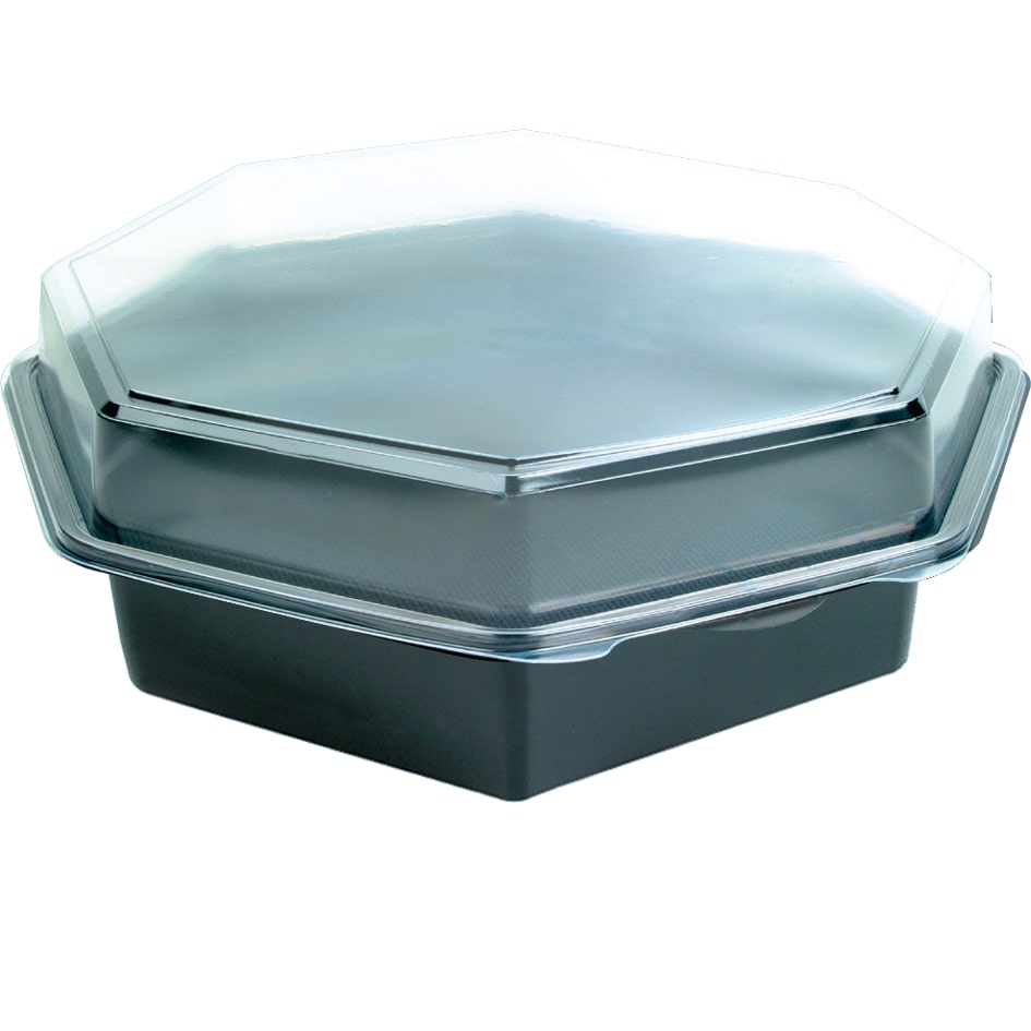 DUNI Octaview Boxen mit anh. Deckel PS 305 x 315 x 80 mm 2500 ml