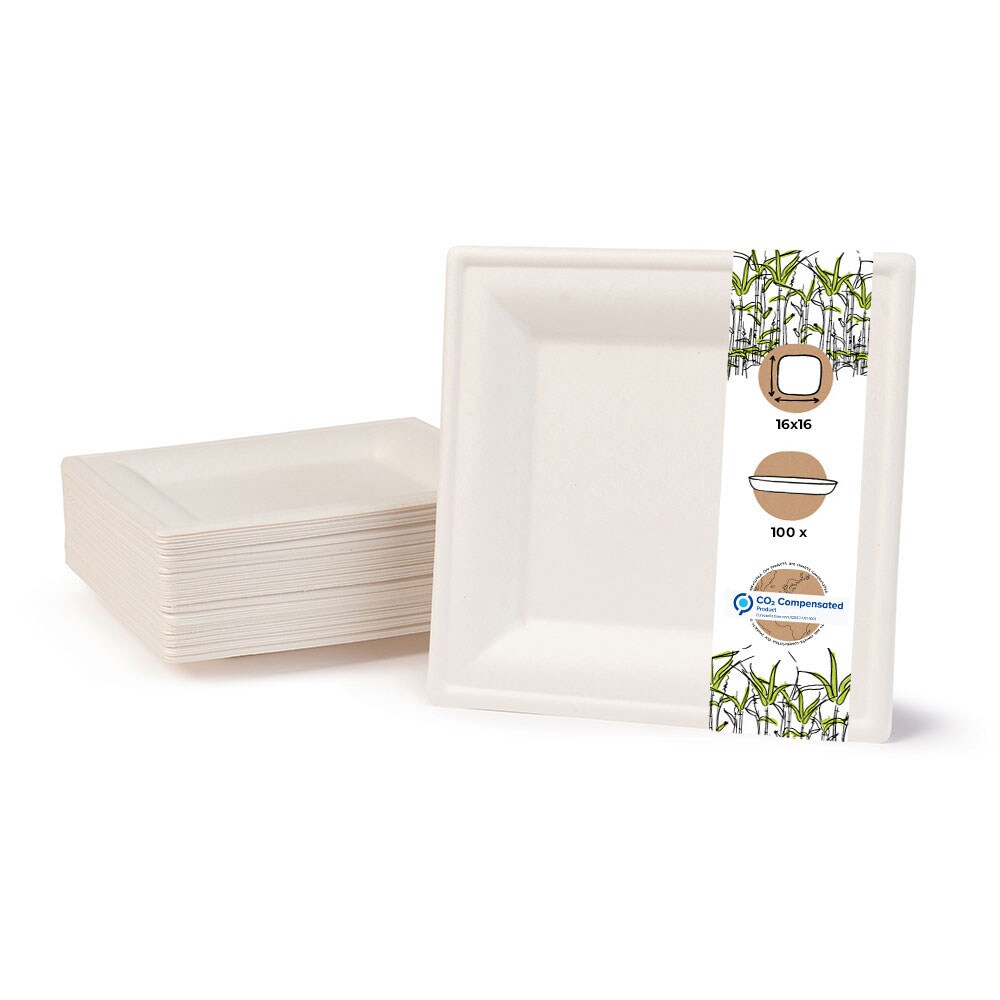 BIOZOYG 100 Stück Einwegteller quadratisch 16x16cm Bio Geschirr Zuckerrohr Teller stabil biologisch abbaubar kompostierbar Bagasse Einwegteller