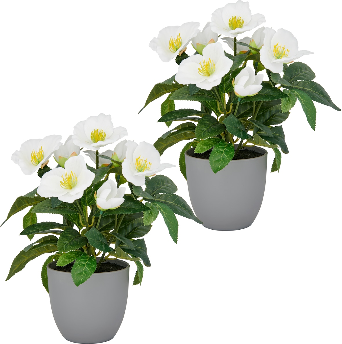 CREATIV green künstliche Pflanze Christrose, 31cm, weiß, 2er Set