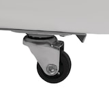 thumbnail of 200 l professionelle Gefriertruhe – 2 Glasschiebetüren – Umluftkühlung, Rollen – Polar