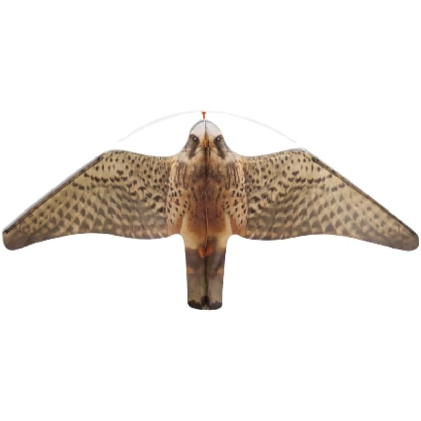 Remi Hogar Espantapájaros Halcón Profesional sin Mástil  con protección UV | Ahuyenta Palomas, tórtolas, estorninos, pardillos, garzas, gaviotas