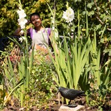 thumbnail of Relaxdays Vogelschreck, 3er Set, zum Hinstellen & Aufhängen, Kunststoff Krähe, zur Vogelabwehr, Garten & Balkon, schwarz