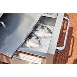 thumbnail of METRO PROFESSIONAL 4 hoofd- en zijbranders gasgrill, 182 x 66 x 125 cm, inclusief zijtafels, verrijdbaar, met remmen,  roestvrij staal, zilver