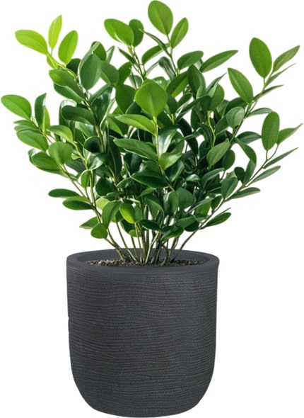 Raffaello Grigio 35x34cm zylindrische Harzvase für Zimmer- und Gartenpflanzen