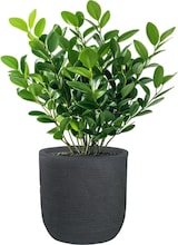 thumbnail of Raffaello Grigio 35x34cm zylindrische Harzvase für Zimmer- und Gartenpflanzen