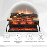 thumbnail of Elektrischer Kamineinsatz BALDERIA Lily - Feuerstelle - dunkles Holz