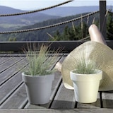 thumbnail of WellHome - Set 2 Pflanztöpfe 1,75L LOFLY Ø15,8 cm/Stück Farbe Weiß