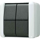 thumbnail of Jung Doppel-Taster 10AX 250V 839 W 839W