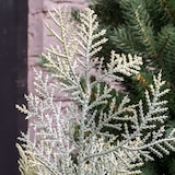 thumbnail of Little Grove Künstlicher Weihnachtsbaum Zypresse, Ø46x60cm