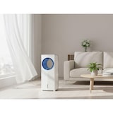 thumbnail of PURLINE Climatiseur évaporatif sans pales RAFY40N