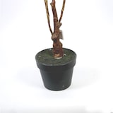 thumbnail of Kunstpflanze Topfpflanze Zimmerpflanze Künstlich Gingko grün H 110 cm