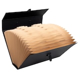 thumbnail of Exacompta - Réf. 58421E - Carton de 4 trieurs valisette avec poignée - 20 compartiments - dim 38,5x25x12cm - couleur noir