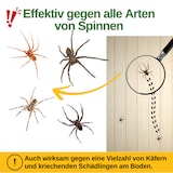 thumbnail of Spinnen Falle mit Spezial-Lockstoff: 15