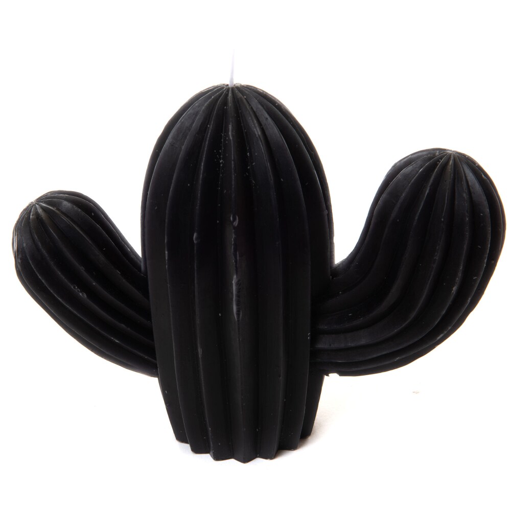 Bougie cactus noire -  Autre forme Cire Amadeus 20.00x6.50 cm