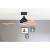 thumbnail of Energiespar Deckenventilator Bayu 122 cm mit LED 122