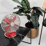 thumbnail of Ventilatore H.Koenig JOE50 ROSSO, design retrò, pratico, 400 W