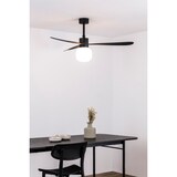 thumbnail of AMELIA L BALL LED Schwarzer Deckenventilator