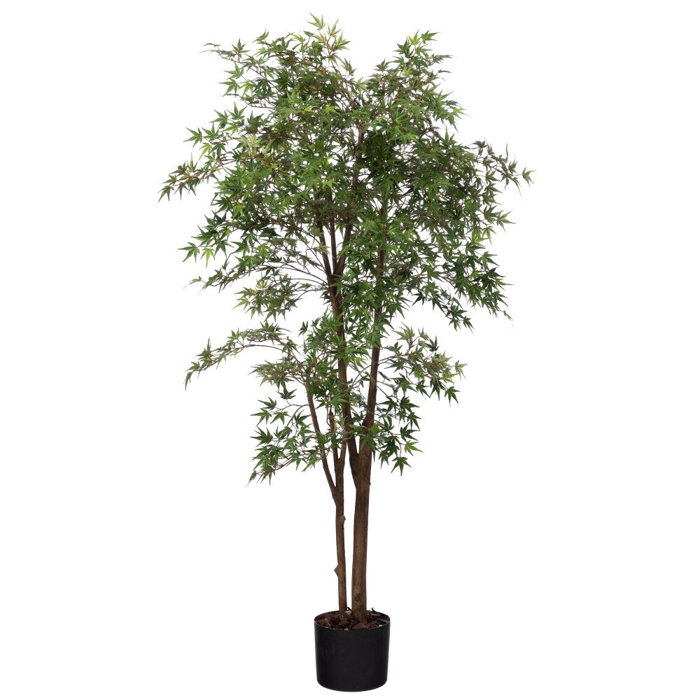 Erable Japonica 198 cm -  Vert Autre forme Plastique Lou De Castellane 0.01x0.01 cm