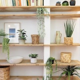 thumbnail of LIGNE DÉCO Plante succulente retombante artificielle 60cm lot de 2